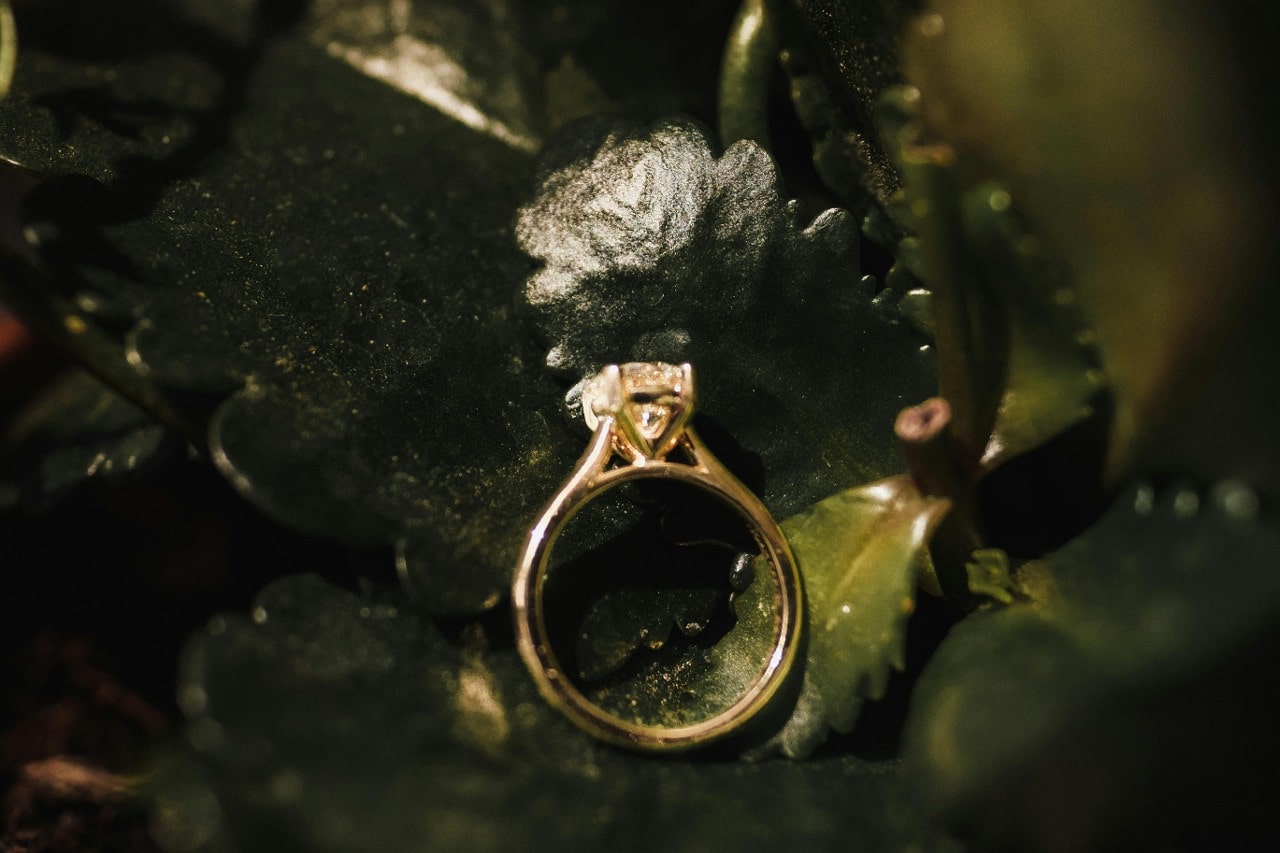 a yellow gold, solitaire engagement ring lying on green leaves a yellow gold, solitaire engagement ring lying on green leaves