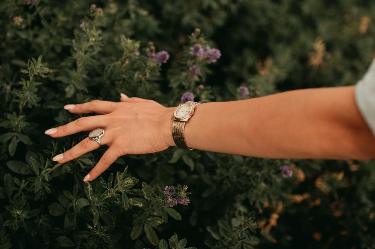 A woman’s hand touching a flower bush, wearing a statement ring and gold watch. A woman’s hand touching a flower bush, wearing a statement ring and gold watch.